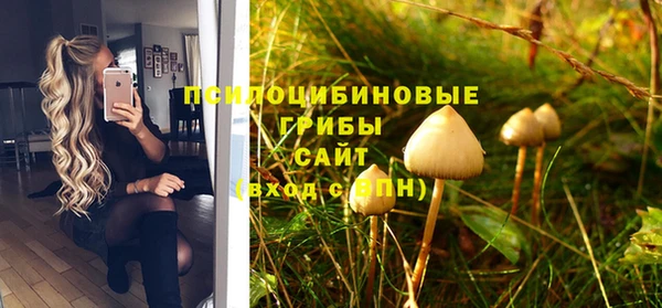 сатива Белоозёрский