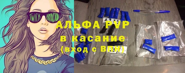 сатива Белоозёрский
