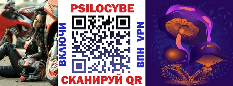 Купить закладки  Светлогорск  Галлюциногенные грибы Psilocybine cubensis 