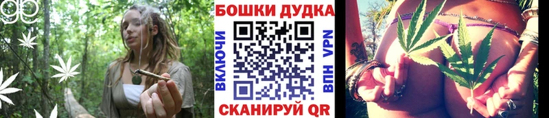 Купить где  Светлогорск  МАРИХУАНА конопля 